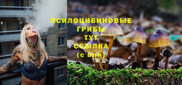 марки lsd Верхний Тагил